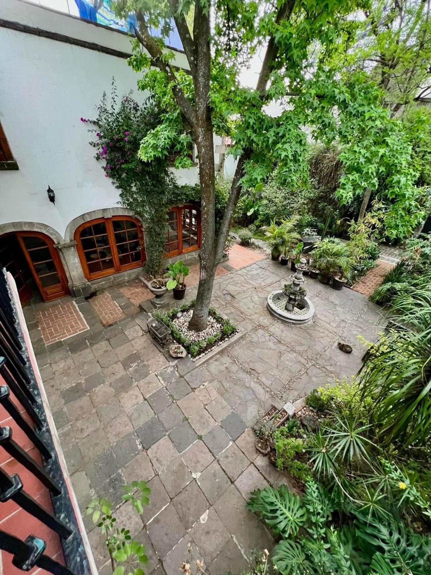 Boutique Hotel And Gallery In San Angel Inn Ciudad de México Exteriér fotografie
